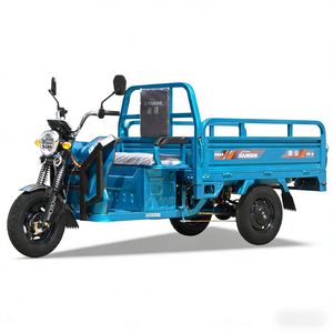 1.6m Bingfeng Special Lithium Battery Cargo Controller Integrated Motor 1000W Adult Closed 3 Wheel High Quality Electric Scooter Tricycle