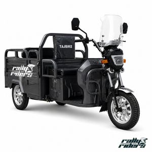 Africa Market 1.2m Electric Cargo Tricycle with Optional Front Windshield