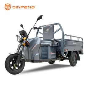 Cheap Price Optional Configuration Three Wheel Trike Electric Cargo Tricycle