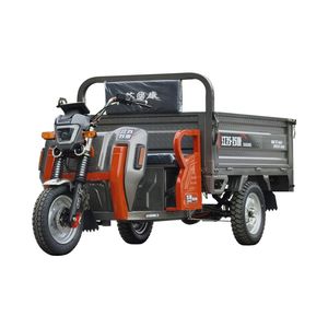 Durble Heavy Load Electric Cargo Tricycle with Checkered Steel Bed for Farm Transportation