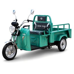 Ex20 Series 48/60V 500W Light Duty Passenger & Cargo Electric Tricycle