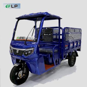 High Horsepower Pressure Resistant Passenger Cargo Adult Electric Tricycle