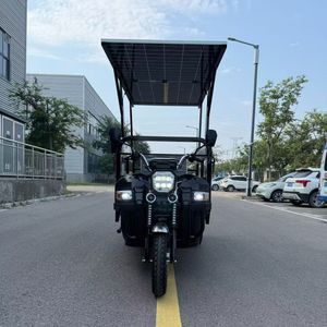 Solar Panel Equipped Electric Tricycle Solar Charging Passenger Cargo Tricycle for Sale