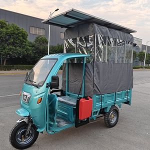 Three Wheel Motorcycle Solar Panel Electric Tricycle Cargo and Passengers Rickshaw Passenger Tricycle Sun Roof Tuk Tuk