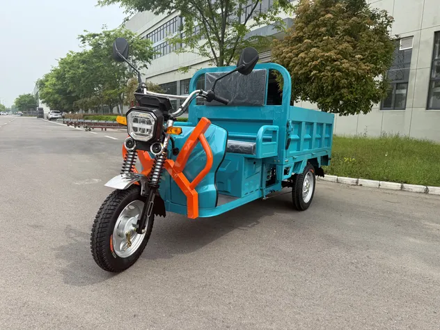 3 Wheel Heavy Duty Cargo Electric Tricycle Newest Adult Electric Powered Transport Tricycle - detail 1