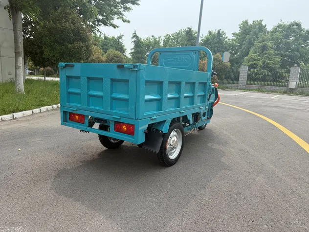 3 Wheel Heavy Duty Cargo Electric Tricycle Newest Adult Electric Powered Transport Tricycle - detail 2