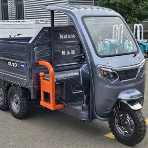 3 Wheel Heavy Duty Cargo Electric Tricycle Newest Adult Electric Powered Transport Tricycle - detail 18