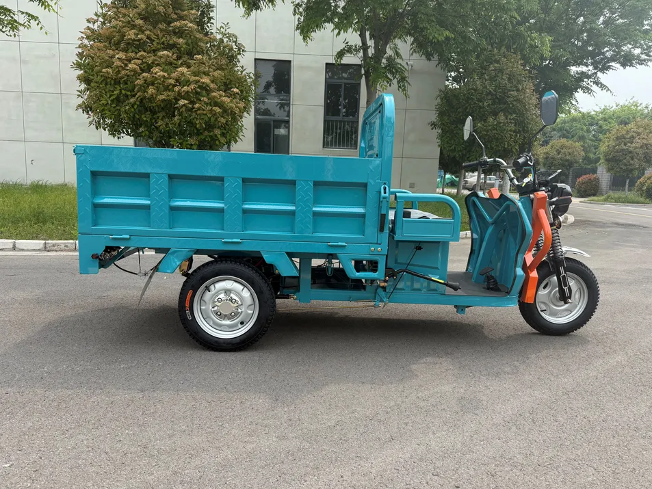 3 Wheel Heavy Duty Cargo Electric Tricycle Newest Adult Electric Powered Transport Tricycle - detail 4