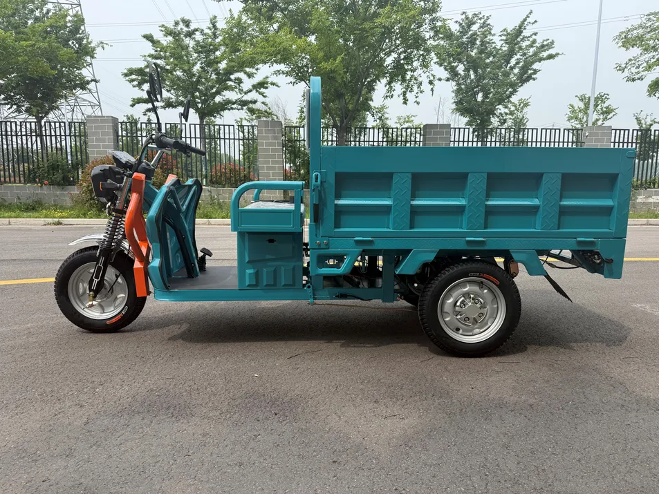 3 Wheel Heavy Duty Cargo Electric Tricycle Newest Adult Electric Powered Transport Tricycle - detail 5