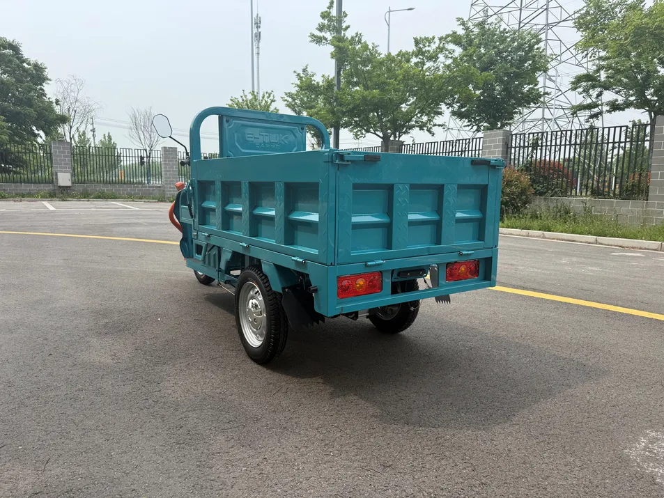 3 Wheel Heavy Duty Cargo Electric Tricycle Newest Adult Electric Powered Transport Tricycle - detail 6