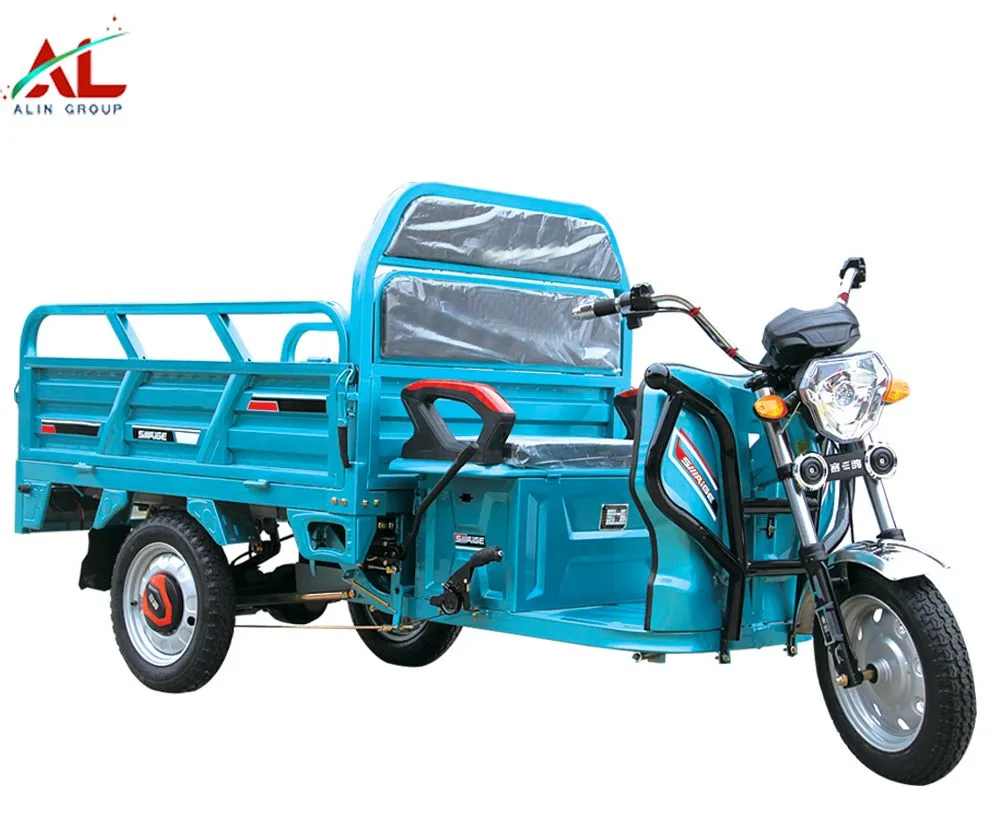 Alin Electric Transport Tricycle Delivery Rickshaw Light Cargo Truck - detail 2