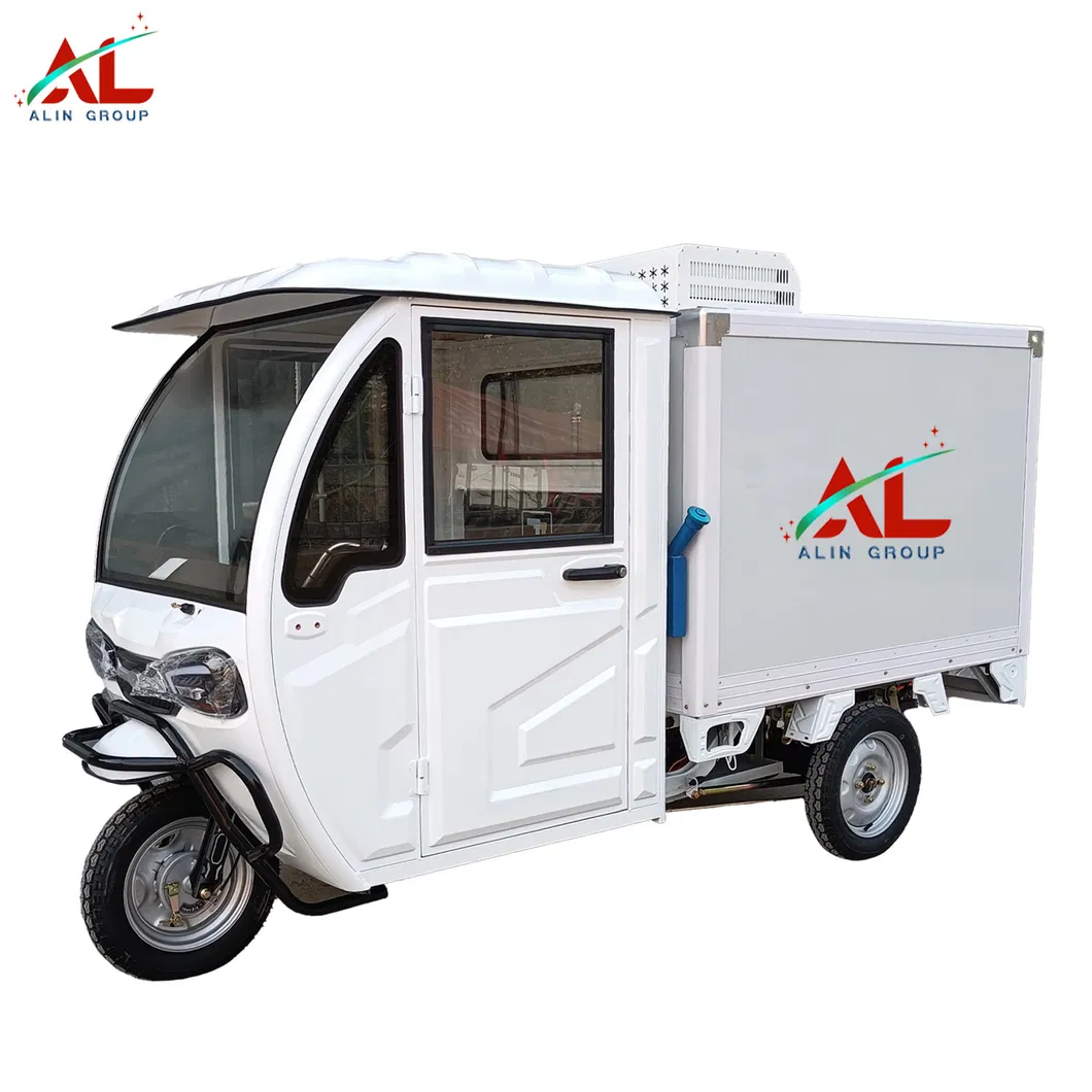 Alin Electric Transport Tricycle Delivery Rickshaw Light Cargo Truck - detail 5