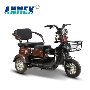 Tricycles From China 1000welectric Motorcycles Eletrical 3 Wheels Truck Dumper 500W Scooter Motor Mini Cargo Electric Tricycle - detail 17