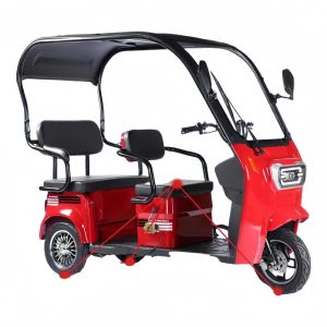 Popular Wholesale Electric Pedicab Reliable Family Electric 3 Wheels Tricycles with Roof for Passenger & Cargo Transportation