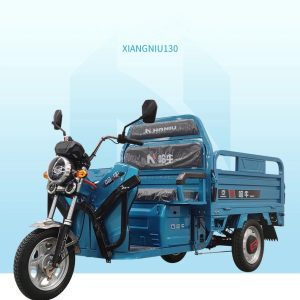 1000W Best Sale Safety and Popular 48V/60V Cargo Electric Tricycle