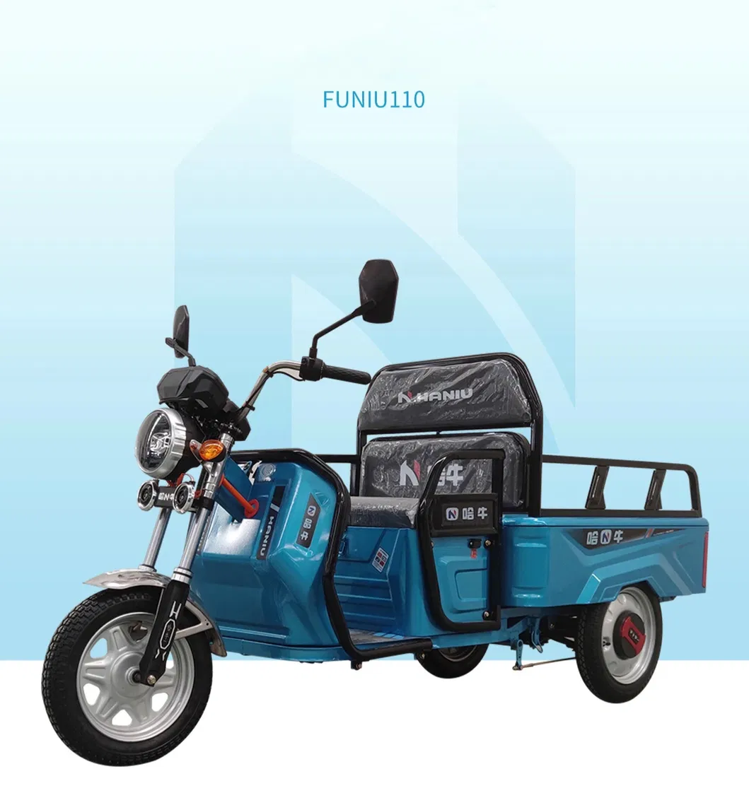 1000W Best Sale Safety and Popular 48V/60V Cargo Electric Tricycle - detail 1