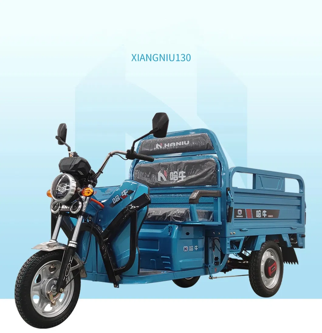 1000W Best Sale Safety and Popular 48V/60V Cargo Electric Tricycle - detail 2