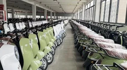 1000W Best Sale Safety and Popular 48V/60V Cargo Electric Tricycle - detail 12