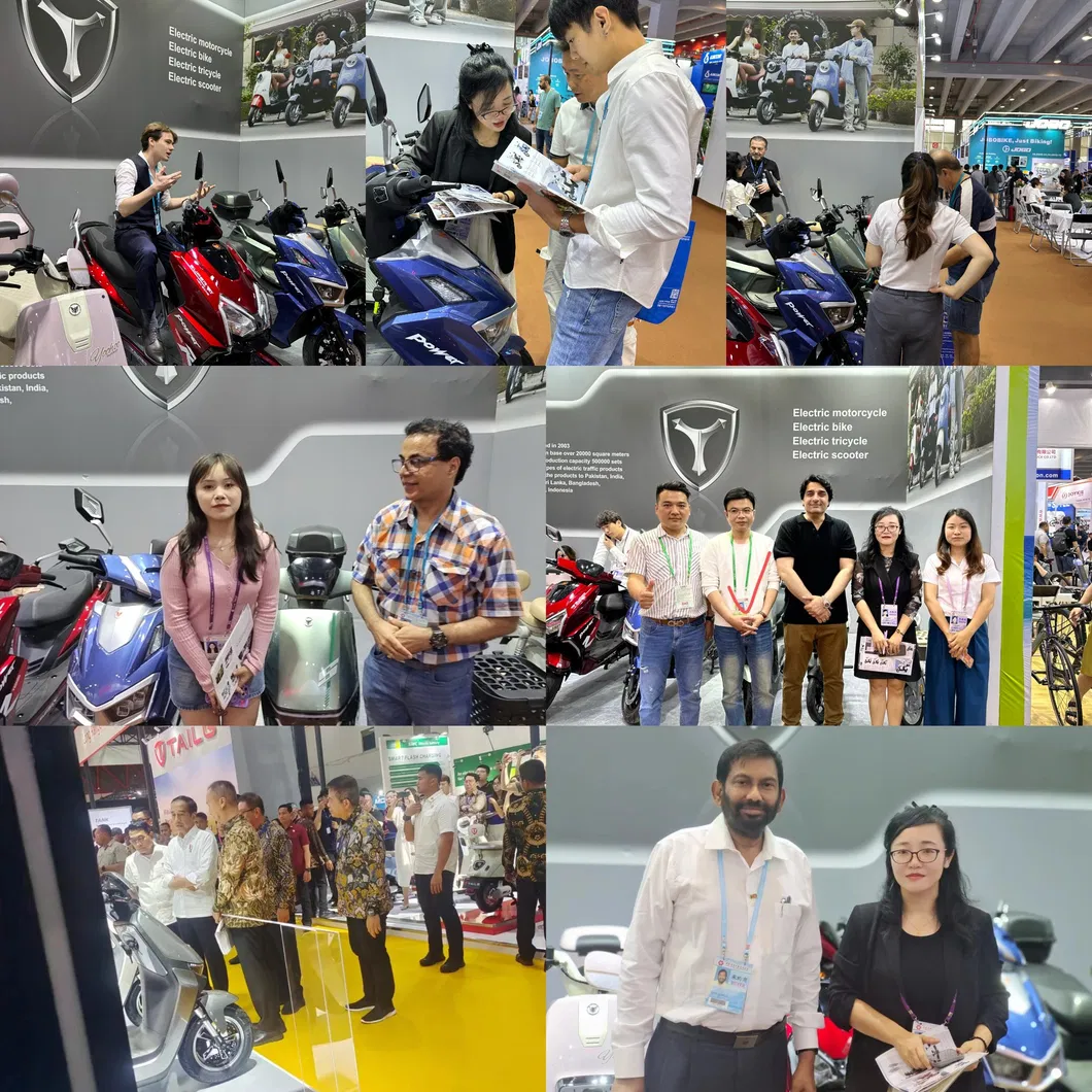 1000W Best Sale Safety and Popular 48V/60V Cargo Electric Tricycle - detail 18