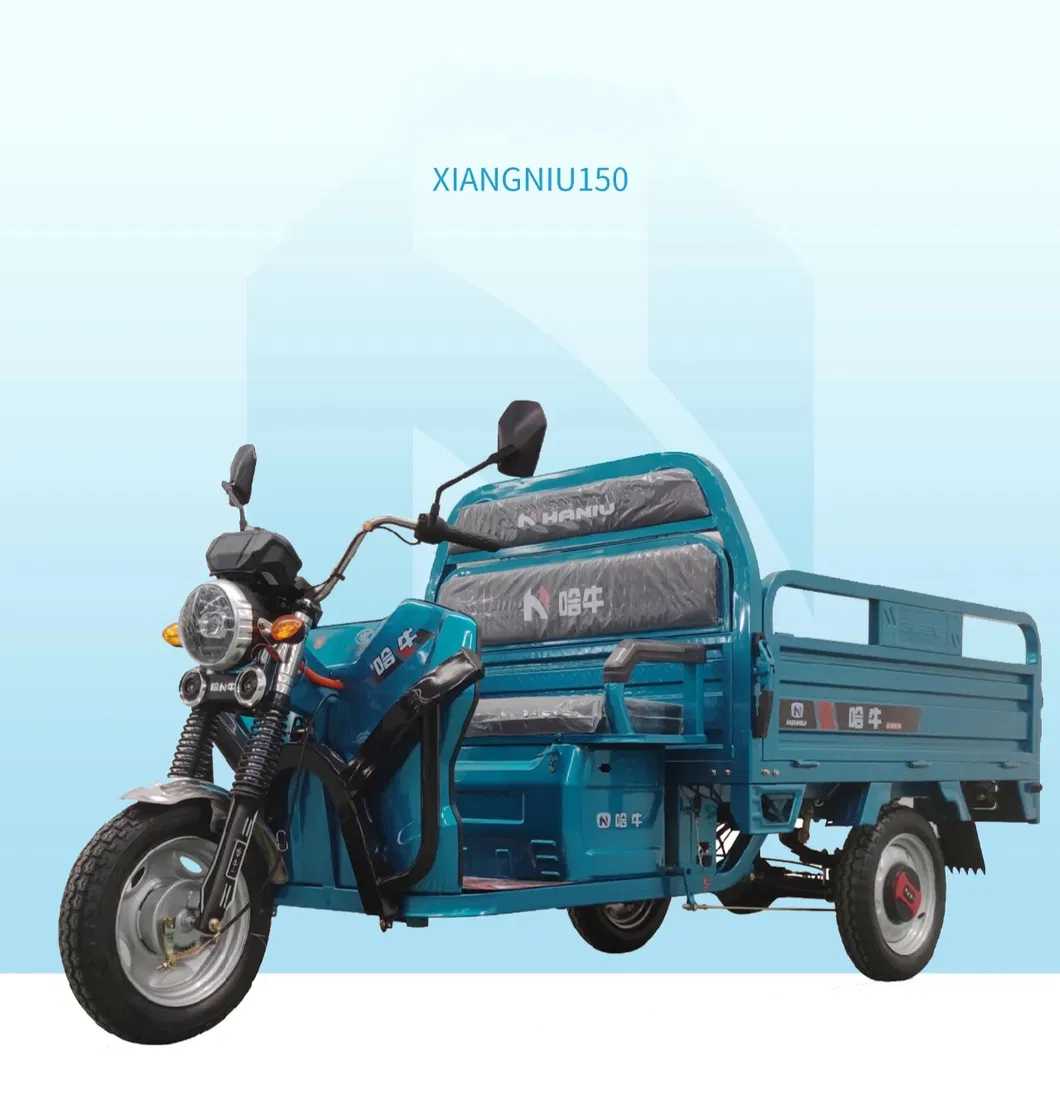 1000W Best Sale Safety and Popular 48V/60V Cargo Electric Tricycle - detail 3