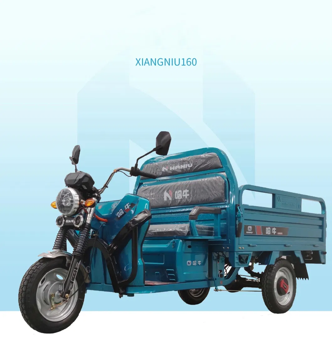 1000W Best Sale Safety and Popular 48V/60V Cargo Electric Tricycle - detail 4