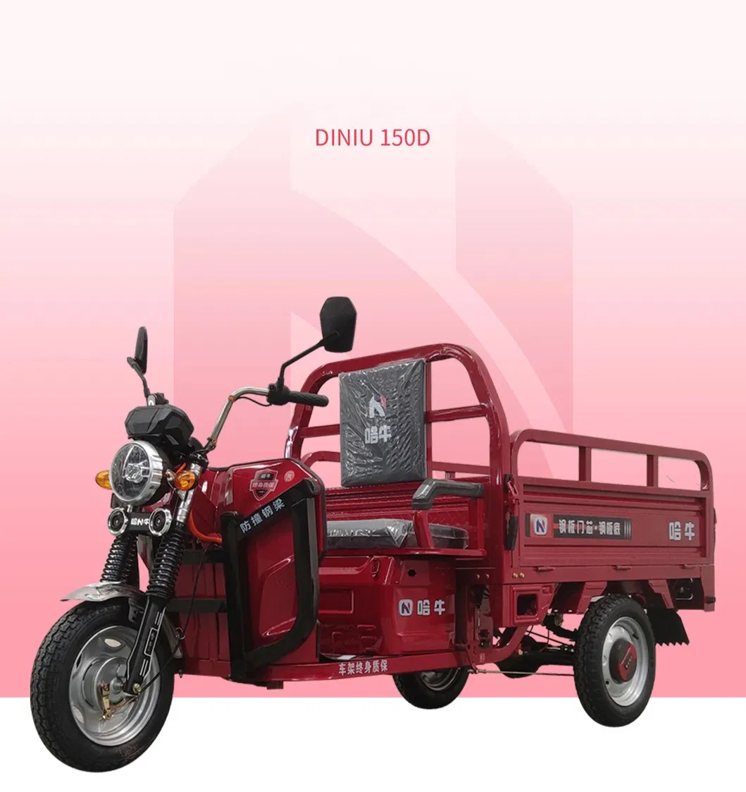 1000W Best Sale Safety and Popular 48V/60V Cargo Electric Tricycle - detail 5