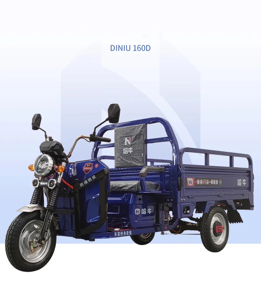 1000W Best Sale Safety and Popular 48V/60V Cargo Electric Tricycle - detail 6