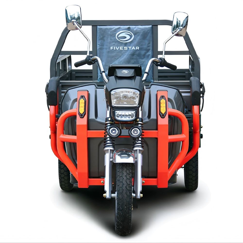 Waterproof Battery Pack All Weather Outdoor Use Trike Wx1000dzh-30 Electric Cargo Tricycle