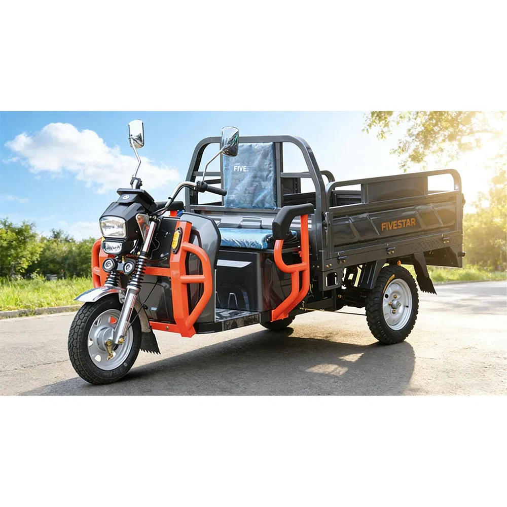 Waterproof Battery Pack All Weather Outdoor Use Trike Wx1000dzh-30 Electric Cargo Tricycle - Image 5