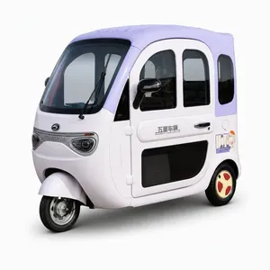 Waterproof Battery Pack All Weather Outdoor Use Trike Wx1000dzh-30 Electric Cargo Tricycle - detail 14