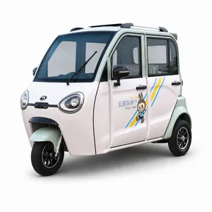 Waterproof Battery Pack All Weather Outdoor Use Trike Wx1000dzh-30 Electric Cargo Tricycle - detail 15