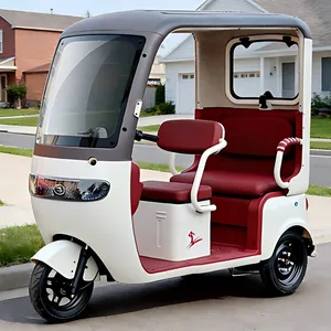 Waterproof Battery Pack All Weather Outdoor Use Trike Wx1000dzh-30 Electric Cargo Tricycle - detail 16