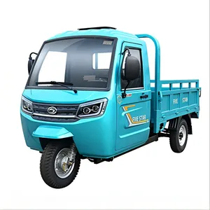Waterproof Battery Pack All Weather Outdoor Use Trike Wx1000dzh-30 Electric Cargo Tricycle - detail 17