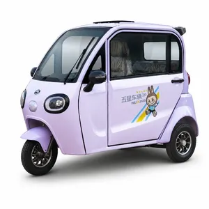 Waterproof Battery Pack All Weather Outdoor Use Trike Wx1000dzh-30 Electric Cargo Tricycle - detail 18