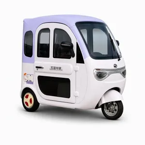 Waterproof Battery Pack All Weather Outdoor Use Trike Wx1000dzh-30 Electric Cargo Tricycle - detail 20