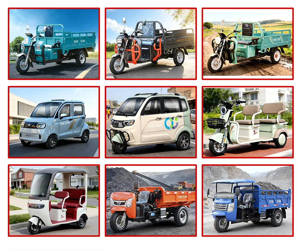 Waterproof Battery Pack All Weather Outdoor Use Trike Wx1000dzh-30 Electric Cargo Tricycle - detail 5