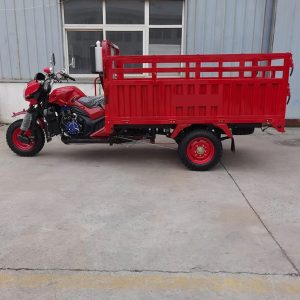 Hot Sale Farmer Use for Countryside Tricycle Agricultural Electric Cargo Tricycle