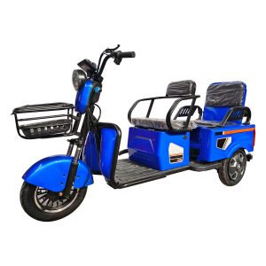 Willstar Ty328 Electric Tricycle for Cargo and Passenger