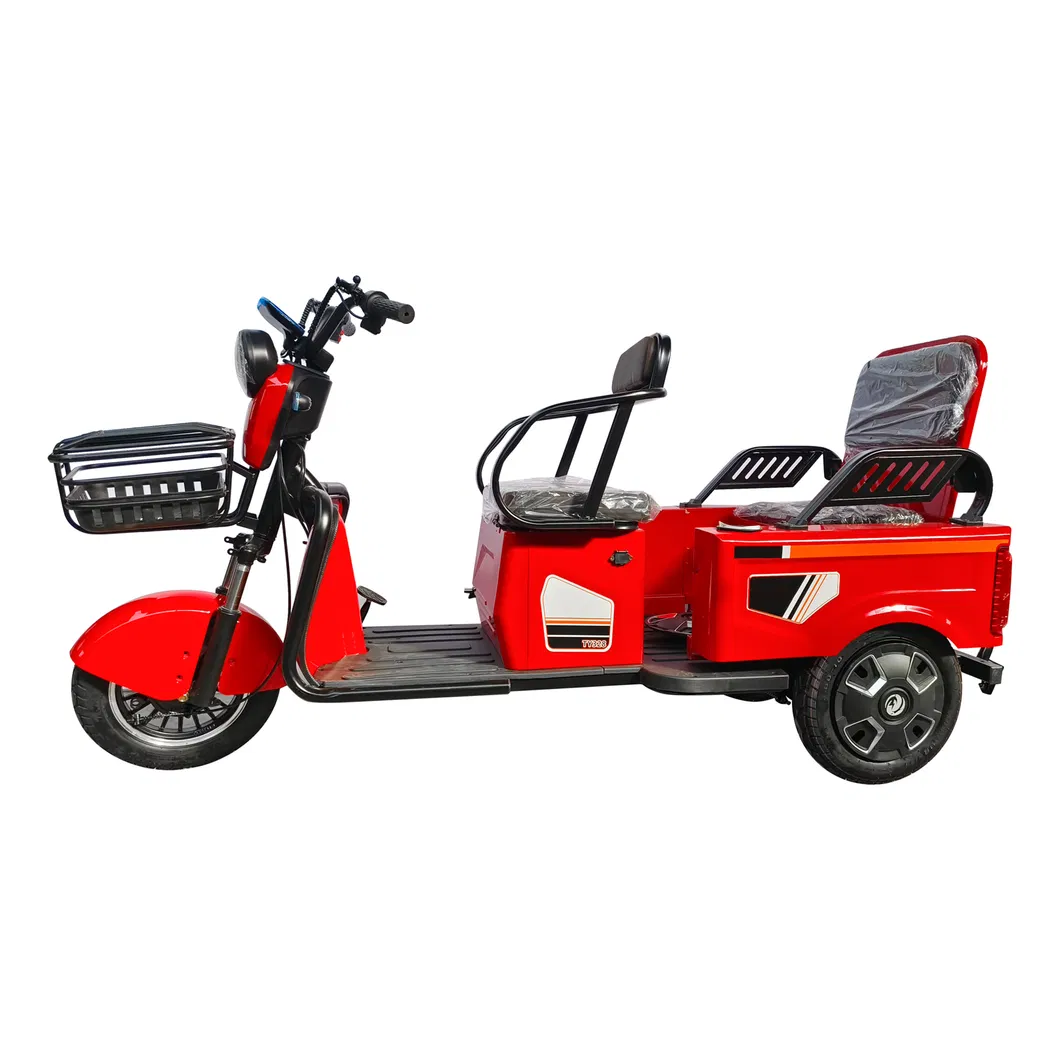 Willstar Ty328 Electric Tricycle for Cargo and Passenger - detail 1
