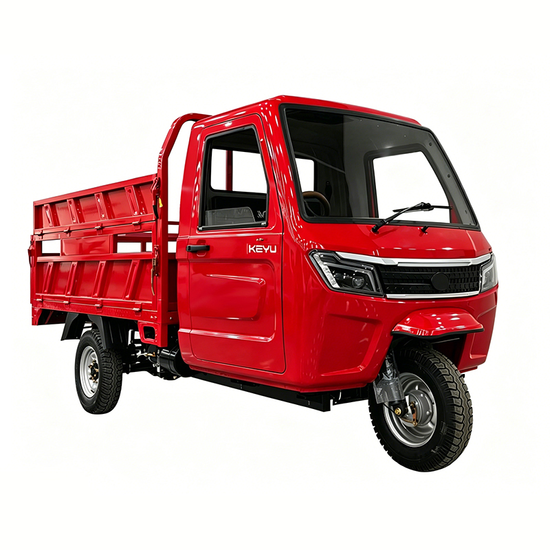 Keyu Trusted Choice EEC Certification 45km/H Speed Adult Electric Tricycle for Cargo - Image 3