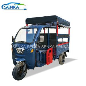 Senka Large Load Passenger Cargo Dual-Use Electric Tricycle with High Cargo Compartment Fence