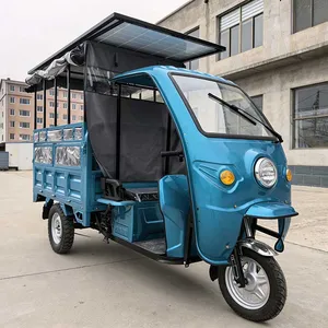 Custom Heavy Duty Farm Cargo 3 Wheel Trikes Electric Tricycle with Canopy - detail 17