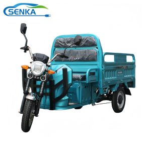 Senka Cheap Adult Electric Motorcycle Driving Cargo Convenient 3 Wheel Tricycle