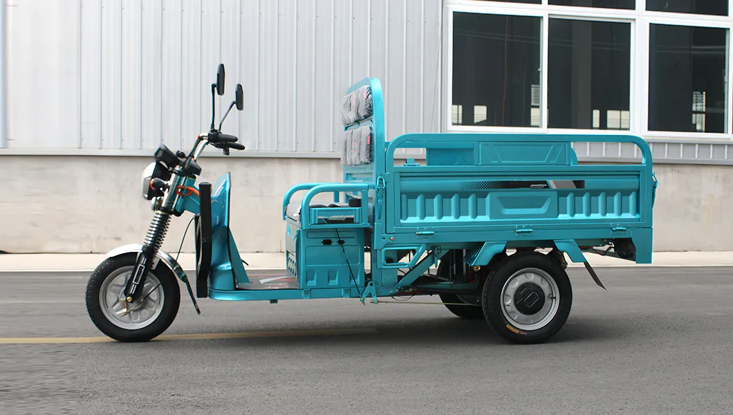 Senka Cheap Adult Electric Motorcycle Driving Cargo Convenient 3 Wheel Tricycle - detail 2