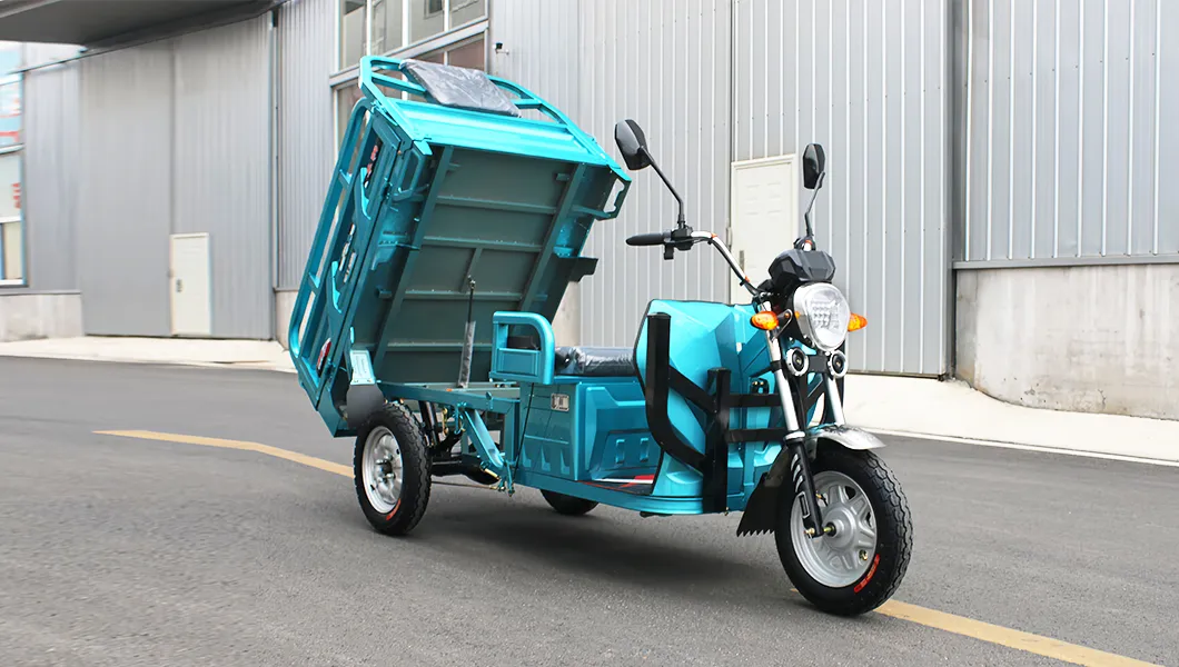 Senka Cheap Adult Electric Motorcycle Driving Cargo Convenient 3 Wheel Tricycle - detail 4