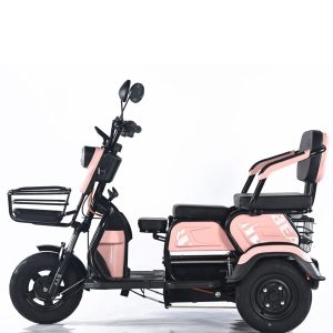Wholesale Truck Cargo Rickshaw, Passenger Tricycle in Motor Trike, China Electric Drift Trike, Scooter Battery Powered Passenger Trike with Motorcycle Parts