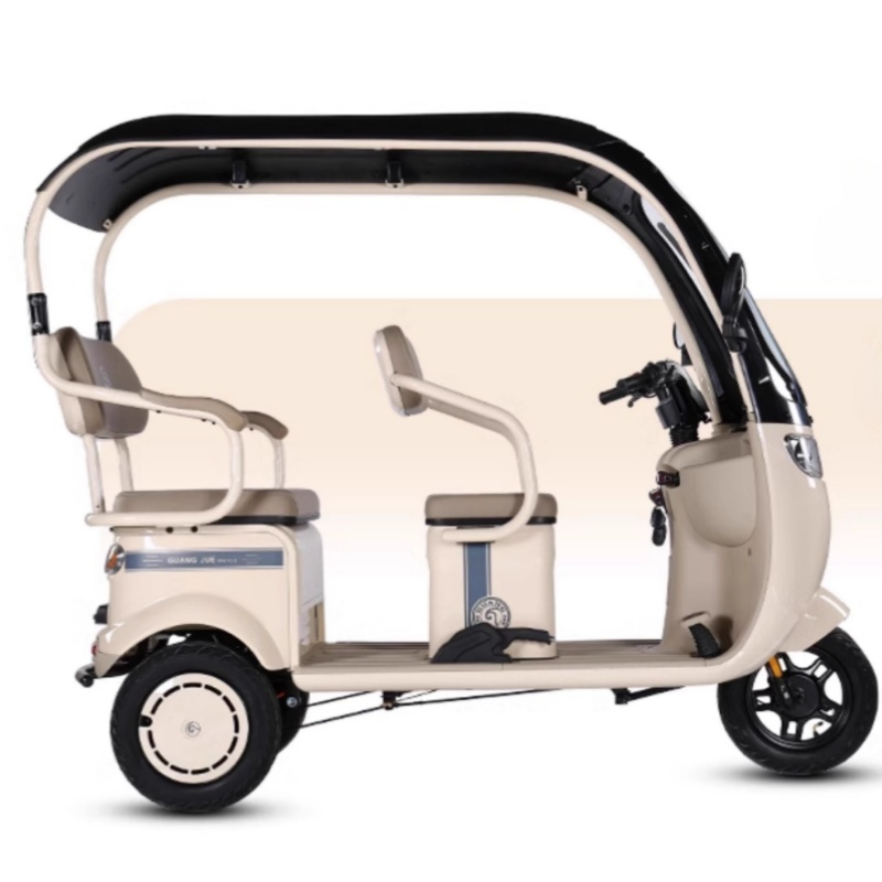 Electric Tricycle for Cargo and Passengers Powerful Electric Tricycle Cargo Tricycle