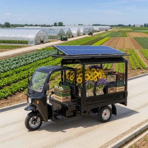 Triciclo Electrico De Pasaje Baja Electric and Solar Powered Cargo Tuk Tricycle Bike with Solar Panel for Adults Passenger Seat