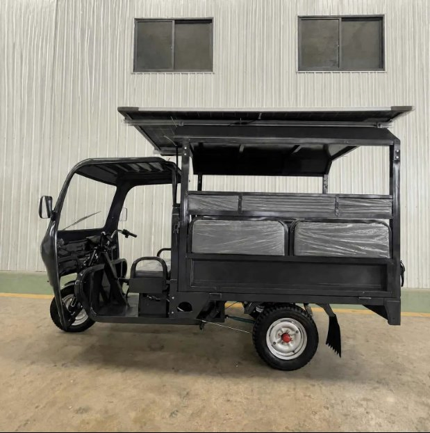 Triciclo Electrico De Pasaje Baja Electric and Solar Powered Cargo Tuk Tricycle Bike with Solar Panel for Adults Passenger Seat - Image 2