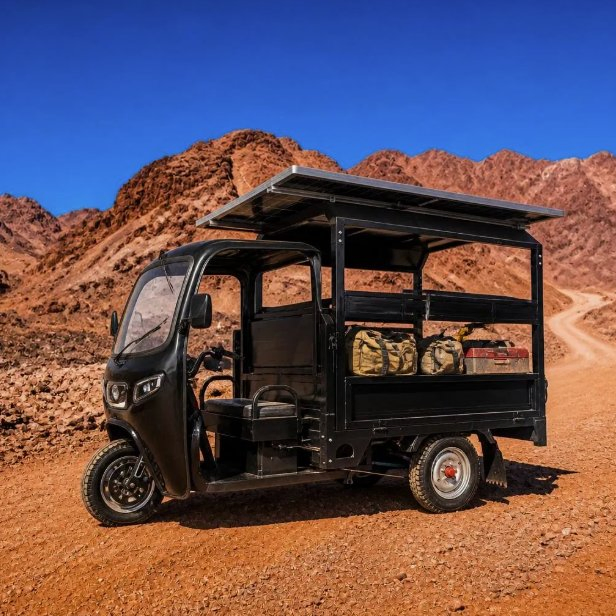 Triciclo Electrico De Pasaje Baja Electric and Solar Powered Cargo Tuk Tricycle Bike with Solar Panel for Adults Passenger Seat - Image 6